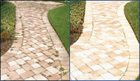 Paver Restoration