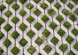 Pervious Pavers, Los Angeles CA